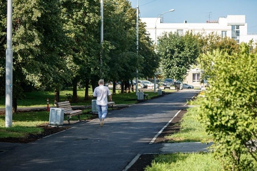 Аллея на улице Антона Валека