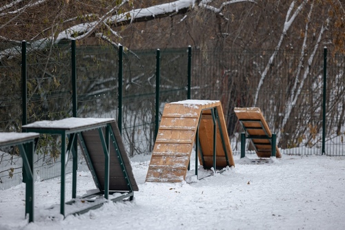 Площадка для выгула собак